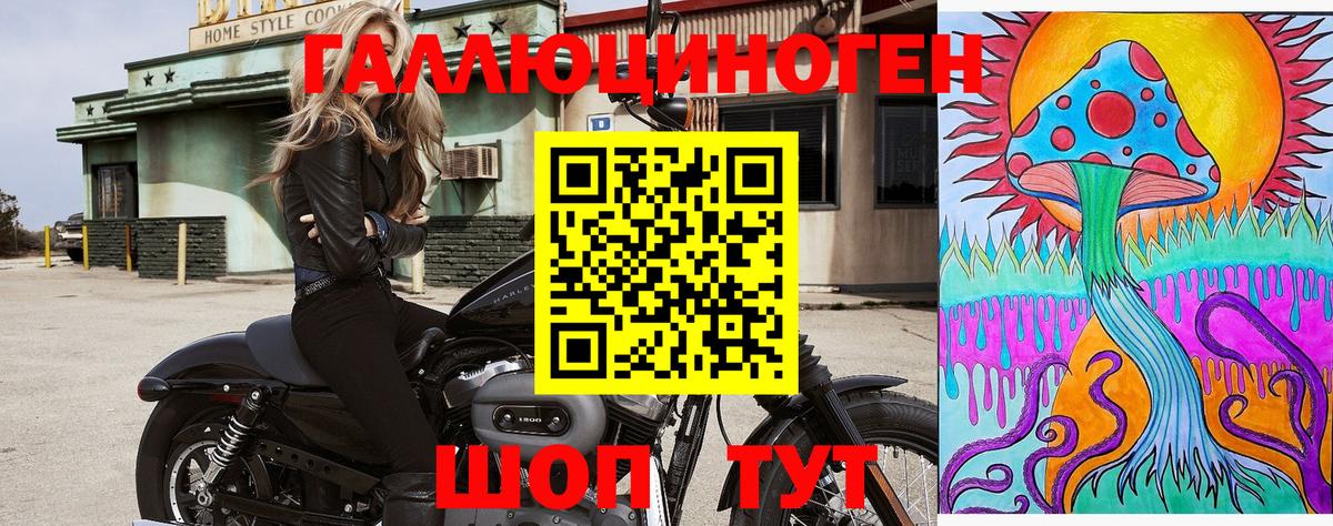 Нурлат  Галлюциногенные грибы Psilocybine cubensis  Вход с VPN 
